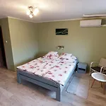 Miniszilva