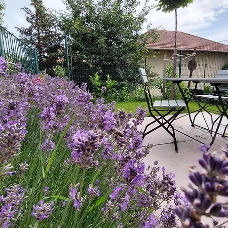 Miniszilva Apartman *